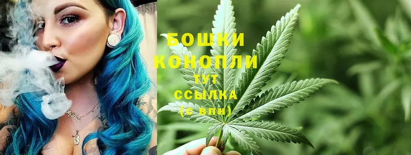 продажа наркотиков  Кинешма  Канабис Ganja 